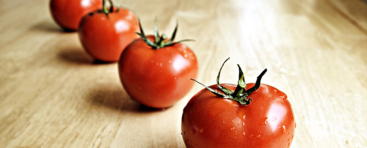 Taimetoidupäev Telliskivi Loomelinnakus